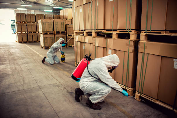 Best Emergency Pest Control  in Benton, IL