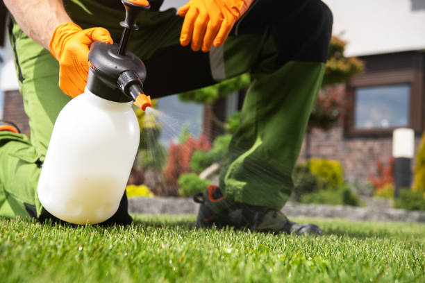 Best Rat Extermination Near Me  in Benton, IL