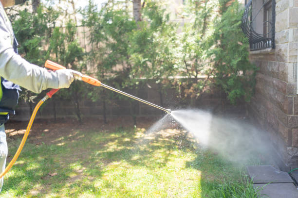 Best Local Pest Control Services  in Benton, IL