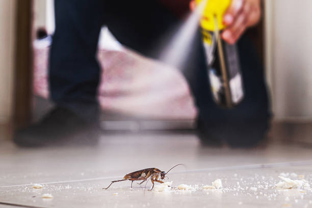 Best Best Pest Control Companies  in Benton, IL