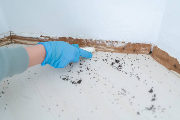 Best Wildlife Control Services  in Benton, IL